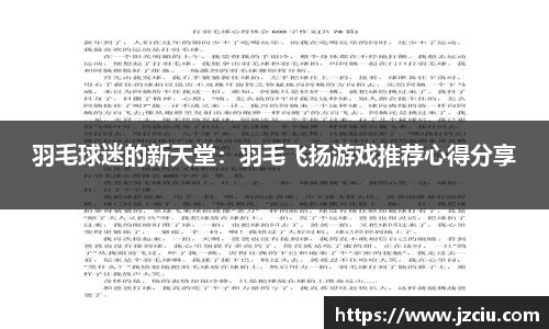 羽毛球迷的新天堂：羽毛飞扬游戏推荐心得分享